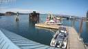 ./images/quadra/hbidock/20210709/hbidock20210709_163500M.jpg