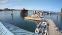 ./images/quadra/hbidock/20210709/hbidock20210709_172500M.jpg