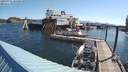 ./images/quadra/hbidock/20210711/hbidock20210711_085000M.jpg