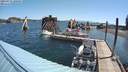 ./images/quadra/hbidock/20210711/hbidock20210711_100500M.jpg