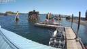 ./images/quadra/hbidock/20210711/hbidock20210711_101500M.jpg