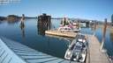 ./images/quadra/hbidock/20210711/hbidock20210711_165000M.jpg