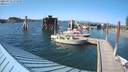 ./images/quadra/hbidock/20210712/hbidock20210712_172500M.jpg
