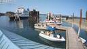 ./images/quadra/hbidock/20210713/hbidock20210713_164500M.jpg