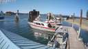 ./images/quadra/hbidock/20210714/hbidock20210714_170500M.jpg