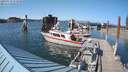 ./images/quadra/hbidock/20210714/hbidock20210714_173500M.jpg