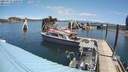 ./images/quadra/hbidock/20210715/hbidock20210715_120500M.jpg