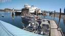 ./images/quadra/hbidock/20210719/hbidock20210719_105500M.jpg