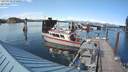 ./images/quadra/hbidock/20210719/hbidock20210719_174500M.jpg