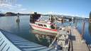 ./images/quadra/hbidock/20210719/hbidock20210719_180500M.jpg