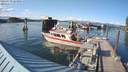 ./images/quadra/hbidock/20210719/hbidock20210719_183500M.jpg