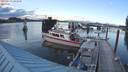 ./images/quadra/hbidock/20210719/hbidock20210719_193500M.jpg