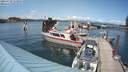 ./images/quadra/hbidock/20210720/hbidock20210720_153500M.jpg