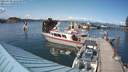 ./images/quadra/hbidock/20210720/hbidock20210720_162500M.jpg