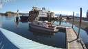 ./images/quadra/hbidock/20210722/hbidock20210722_084000M.jpg