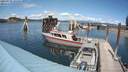 ./images/quadra/hbidock/20210722/hbidock20210722_145000M.jpg