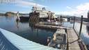 ./images/quadra/hbidock/20210724/hbidock20210724_084500M.jpg
