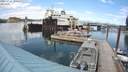 ./images/quadra/hbidock/20210724/hbidock20210724_164500M.jpg