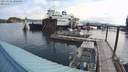 ./images/quadra/hbidock/20210725/hbidock20210725_090500M.jpg