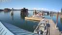 ./images/quadra/hbidock/20210726/hbidock20210726_174000M.jpg