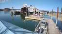 ./images/quadra/hbidock/20210727/hbidock20210727_165001M.jpg