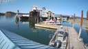 ./images/quadra/hbidock/20210727/hbidock20210727_165500M.jpg