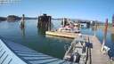 ./images/quadra/hbidock/20210727/hbidock20210727_174500M.jpg