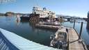 ./images/quadra/hbidock/20210728/hbidock20210728_090000M.jpg