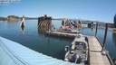 ./images/quadra/hbidock/20210728/hbidock20210728_112500M.jpg