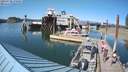 ./images/quadra/hbidock/20210728/hbidock20210728_170000M.jpg
