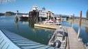 ./images/quadra/hbidock/20210728/hbidock20210728_170500M.jpg