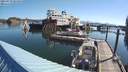 ./images/quadra/hbidock/20210729/hbidock20210729_085000M.jpg