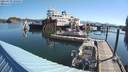 ./images/quadra/hbidock/20210729/hbidock20210729_090000M.jpg