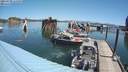 ./images/quadra/hbidock/20210730/hbidock20210730_114500M.jpg