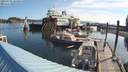 ./images/quadra/hbidock/20210731/hbidock20210731_085000M.jpg