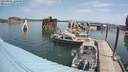 ./images/quadra/hbidock/20210801/hbidock20210801_120500M.jpg