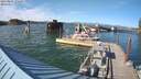 ./images/quadra/hbidock/20210803/hbidock20210803_175000M.jpg