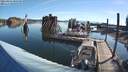 ./images/quadra/hbidock/20210804/hbidock20210804_080500M.jpg