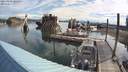 ./images/quadra/hbidock/20210805/hbidock20210805_083500M.jpg