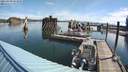 ./images/quadra/hbidock/20210809/hbidock20210809_093000M.jpg