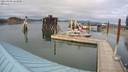 ./images/quadra/hbidock/20210809/hbidock20210809_161000M.jpg