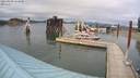 ./images/quadra/hbidock/20210809/hbidock20210809_161500M.jpg