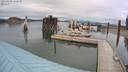 ./images/quadra/hbidock/20210809/hbidock20210809_162000M.jpg