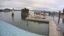 ./images/quadra/hbidock/20210809/hbidock20210809_163000M.jpg