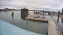./images/quadra/hbidock/20210809/hbidock20210809_163500M.jpg