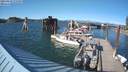 ./images/quadra/hbidock/20210810/hbidock20210810_173501M.jpg