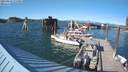 ./images/quadra/hbidock/20210810/hbidock20210810_174000M.jpg