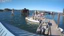 ./images/quadra/hbidock/20210810/hbidock20210810_174500M.jpg