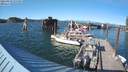 ./images/quadra/hbidock/20210810/hbidock20210810_175500M.jpg