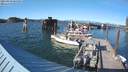 ./images/quadra/hbidock/20210810/hbidock20210810_181001M.jpg